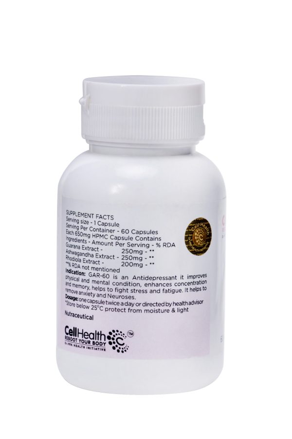 GAR-60 - Image 2