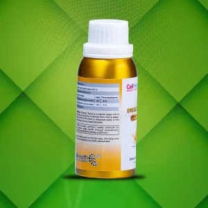 Omega 3 syrup