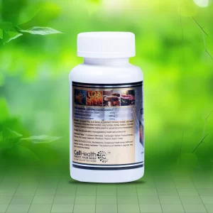 Cordyceps
