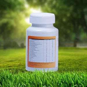 Multi Vitamin