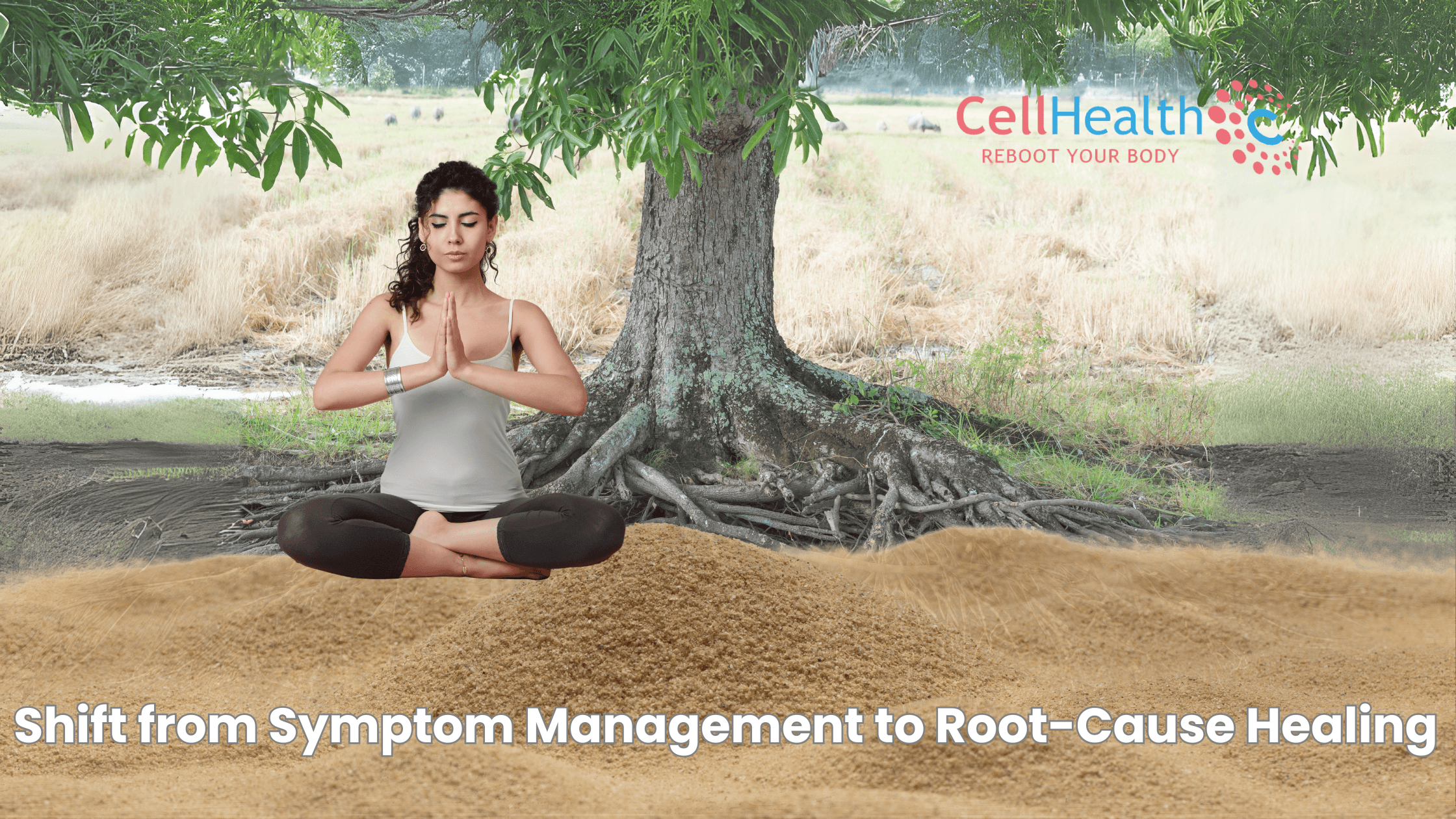 You are currently viewing 🌱 The Shift from Symptom Management to Root-Cause Healing: Why the World Needs It Now