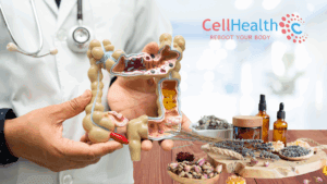 Read more about the article 🌿 Understanding the Role of Gut Health in Natural Healing