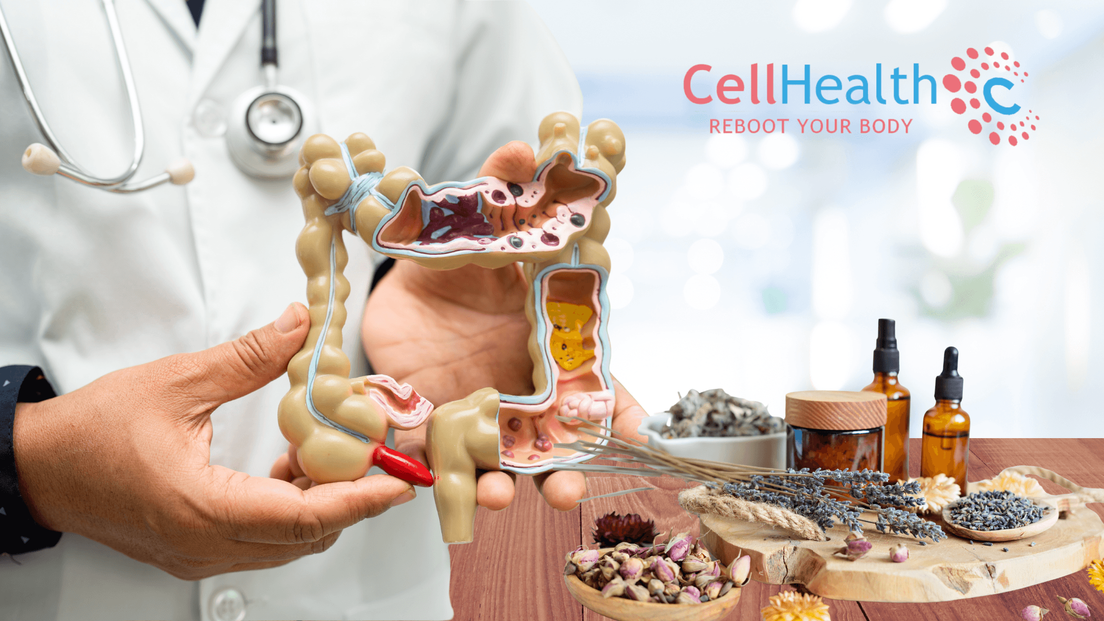 Read more about the article 🌿 Understanding the Role of Gut Health in Natural Healing