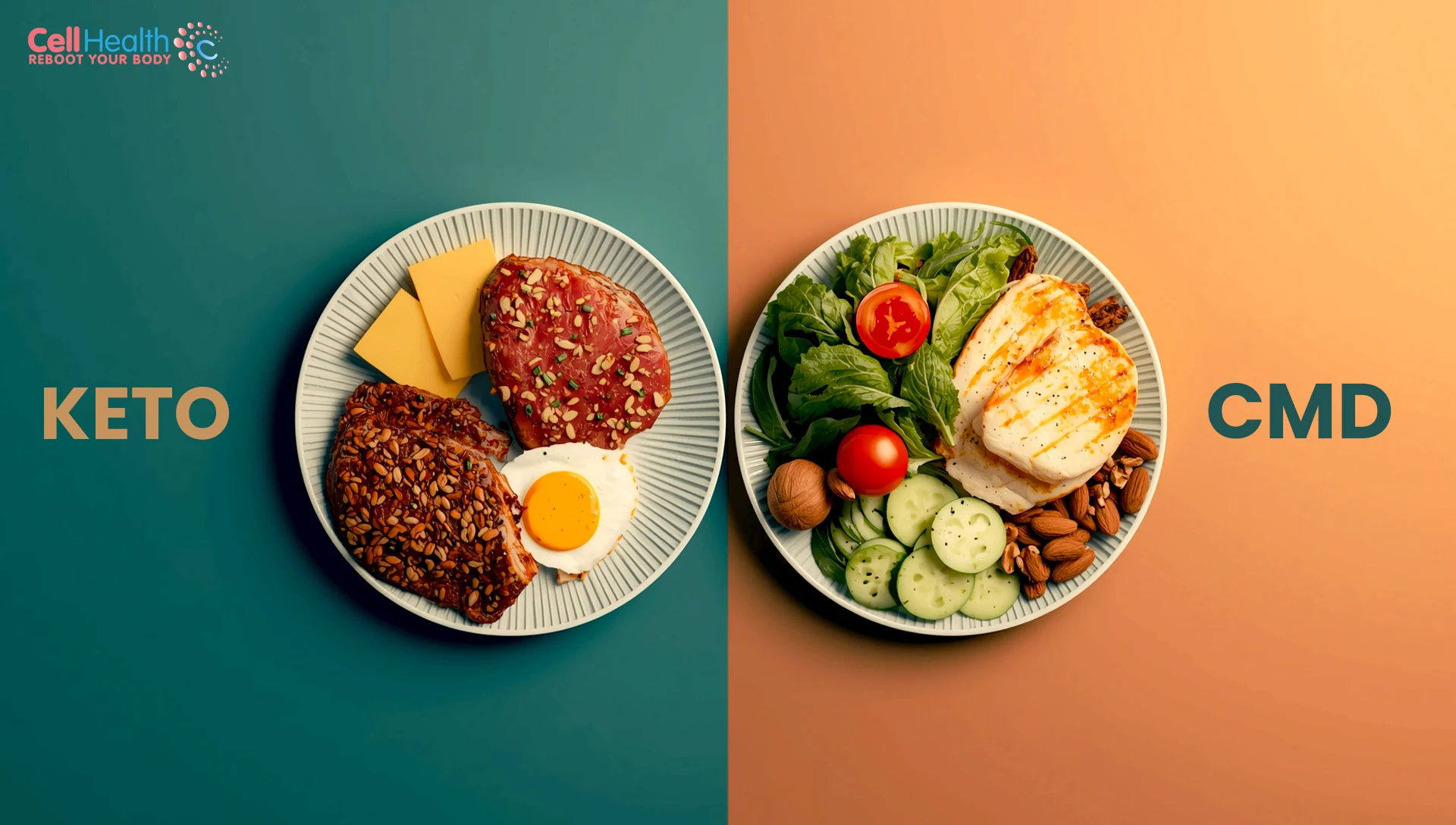 Read more about the article CMD Program vs Keto: Which One Works Better for Long-Term Weight Loss?