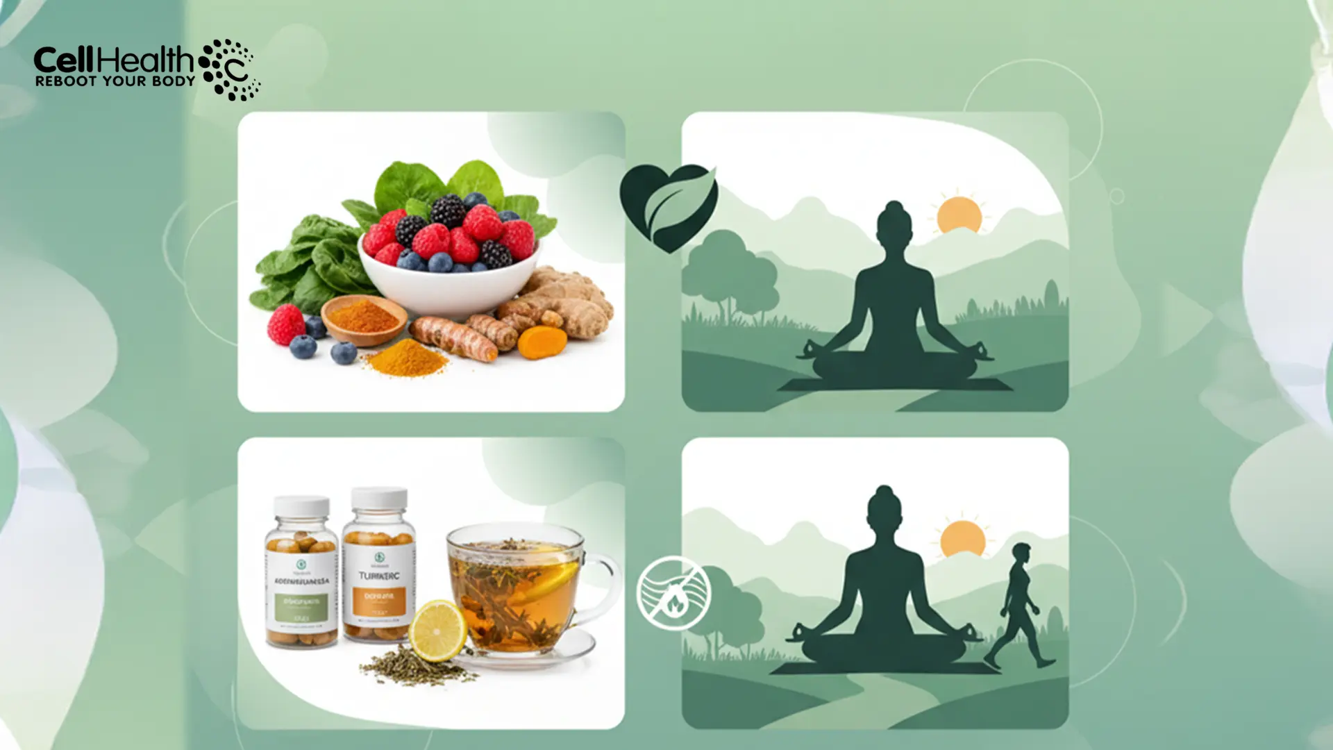 Integrative naturopathy strategies that support long-term wellness and holistic health.”